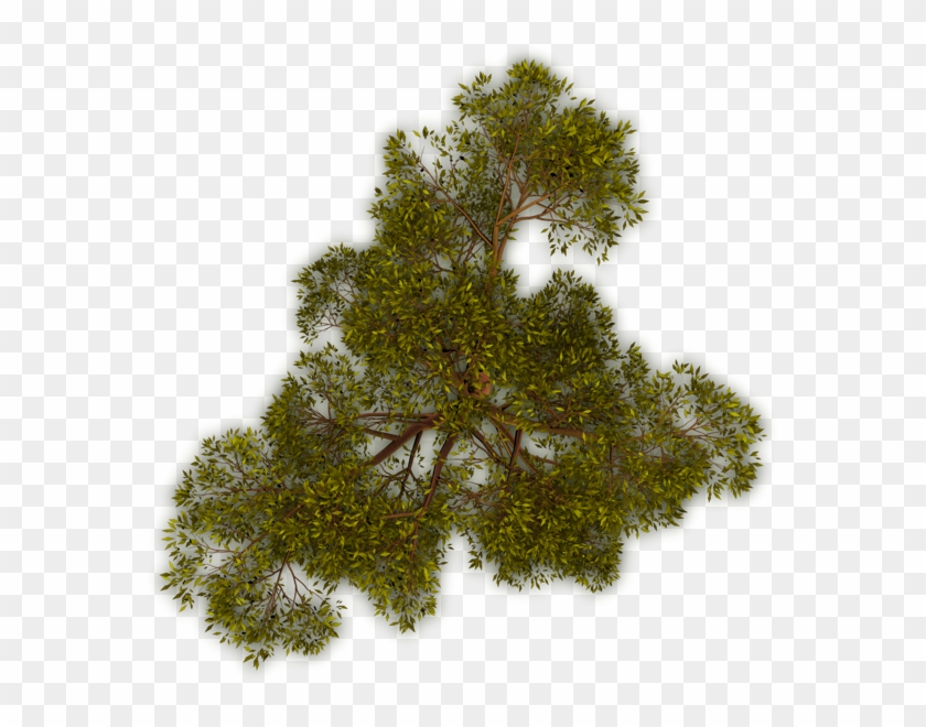Could Be A Tree In Autumn - Dundjinni Tree Png #894415