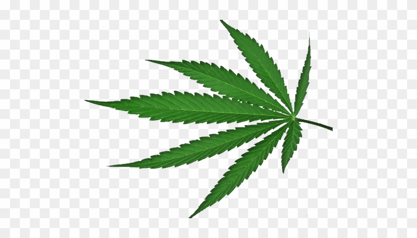 Weed - Cannabis Png #894430