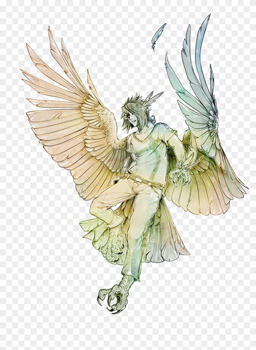 Harpy Mikhail By Rubyfeather Harpy Mikhail By Rubyfeather Male Harpy Art Free Transparent Png Clipart Images Download I've decided to simply draw my own version of a harpy, anime style. by rubyfeather male harpy art