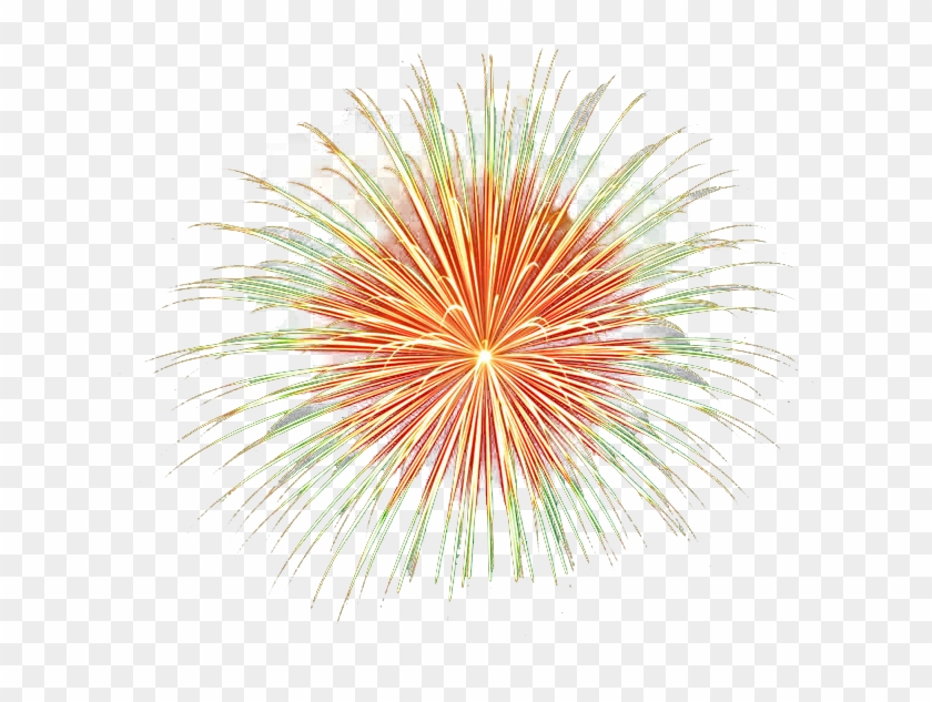 Transparent Clear Background Png Wwwimgkidcom The - Fireworks No Background #894440