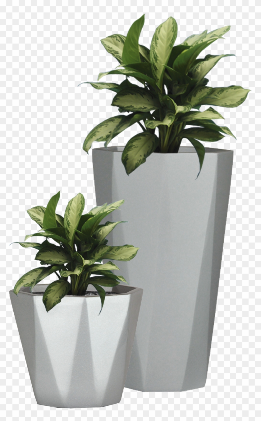 Diamond Pattern Garden Planter Small Flower Pot Commercial - Garden Pot Plants Png #894469