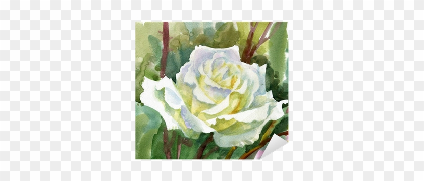 Watercolor Flower Collection - Watercolor Painting #894604