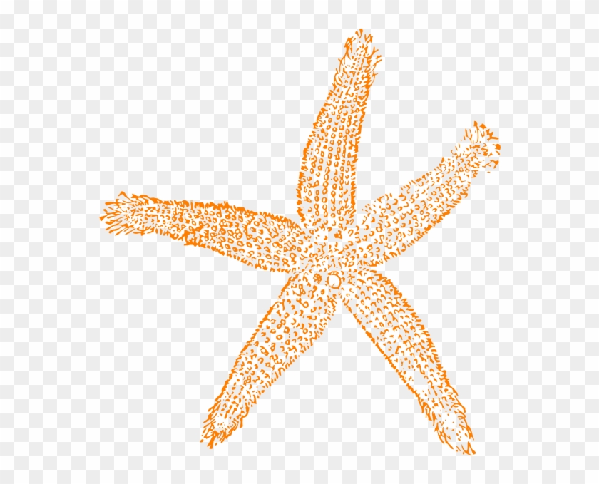 Single Starfish Orange Clip Art At Clker - Estrellas De Mar Png #894693