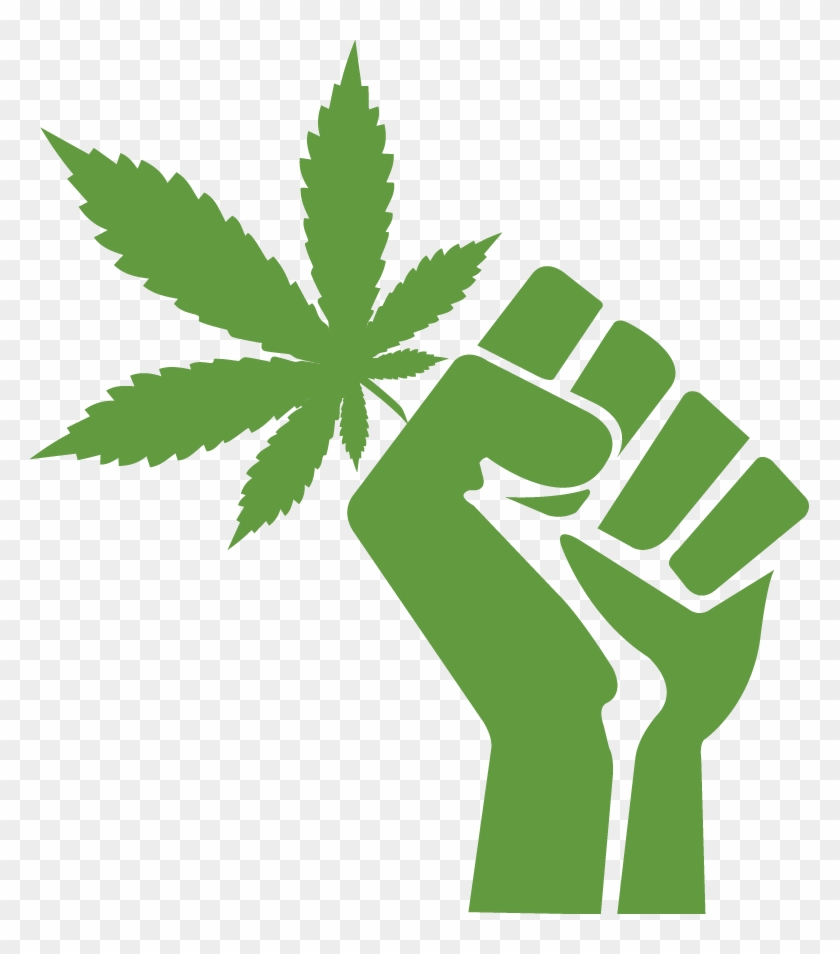 Cannabis Leaf Outline Download - Free Palestine End Israeli Occupation #894891