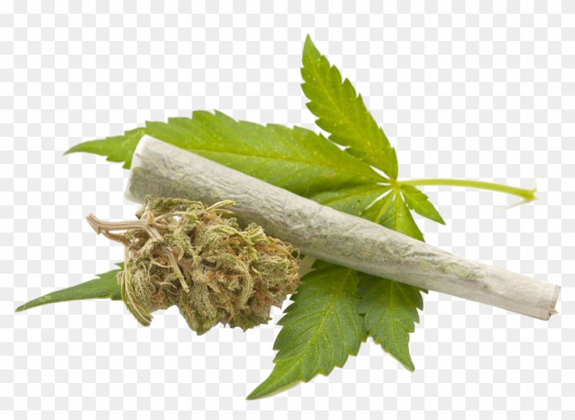 Medical Cannabis Cannabis Smoking Legality Of Cannabis - Get Smart About Marijuana #894905