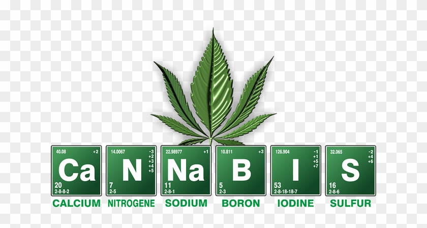 Cannabis-2305146 - Cannabis Periodic Table #894910