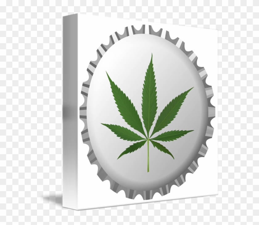 Cannabis Leaf #894916