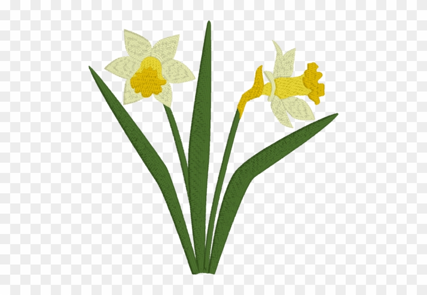 Daffodils - Eastern Pearl Restaurant #894920