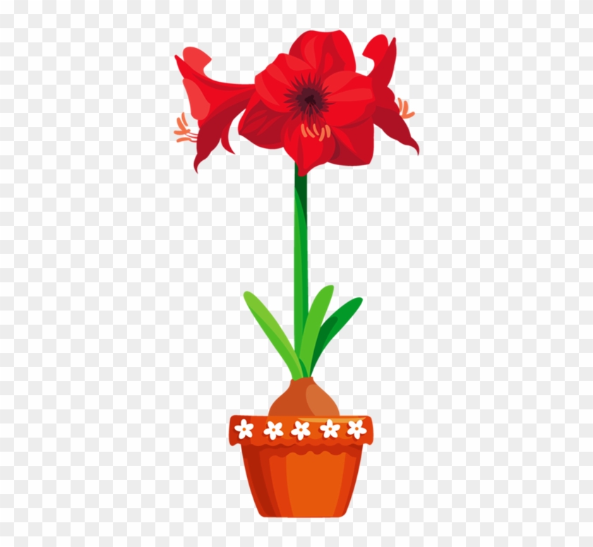 Picture 4 - - Amaryllis Clip Art #894950