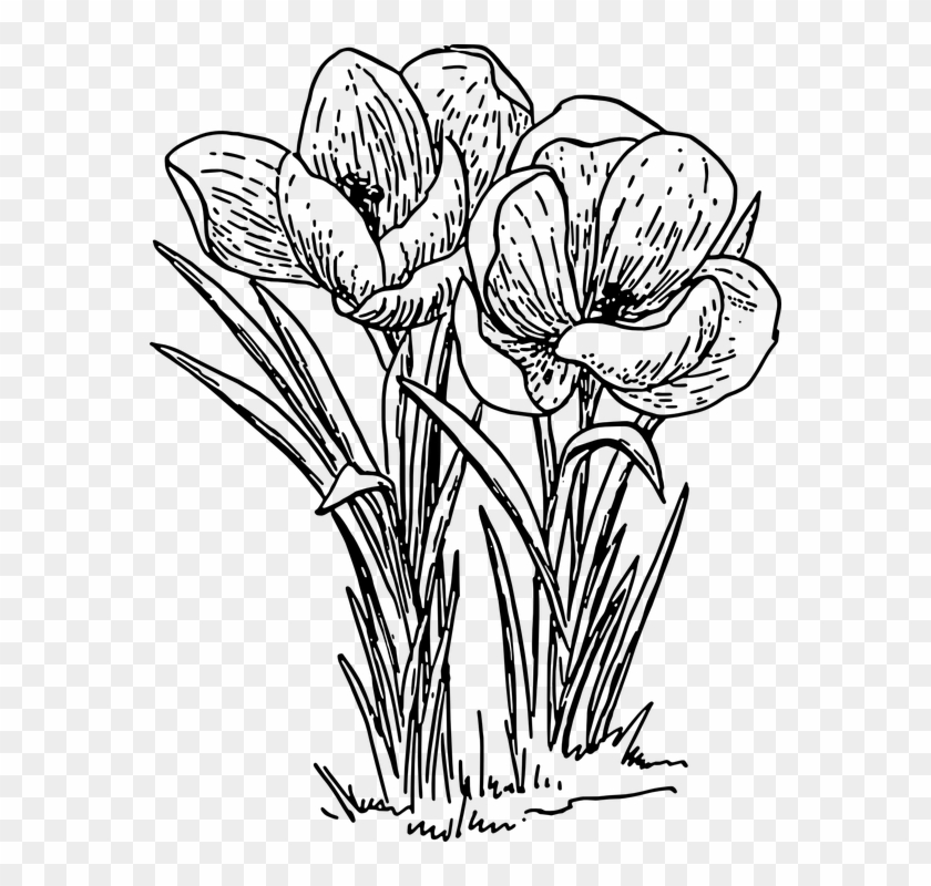 Drawing Art Of Flower Plant Grown In Soil Vector Clipart - Plants With Flowers Drawing #895003