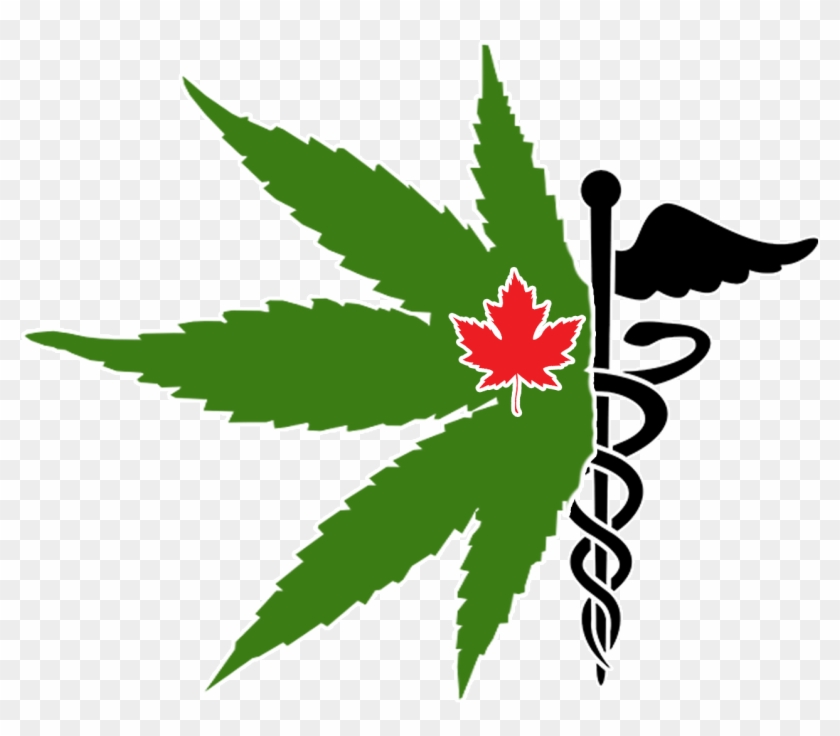 We'll Be Producing The Purest Medical Cannabis On The - Medical Marijuana Logo Png #895008