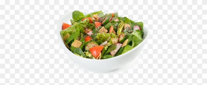 Salad Leafy Fattoush Salad - Barracuda - Beach Resort #895078