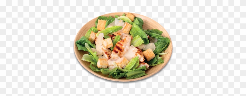 Saladas - Co Jeść Przy Chorobach Żołądka I Jelit - Książka #895146