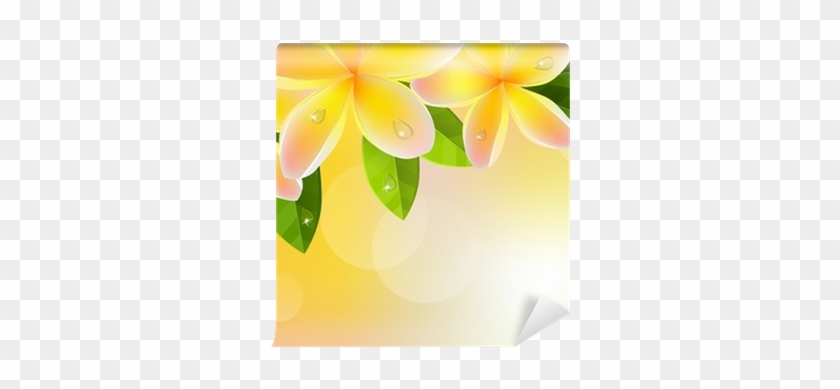 Tropic Orange Background With Frangipani And Green - Frangipani #895339