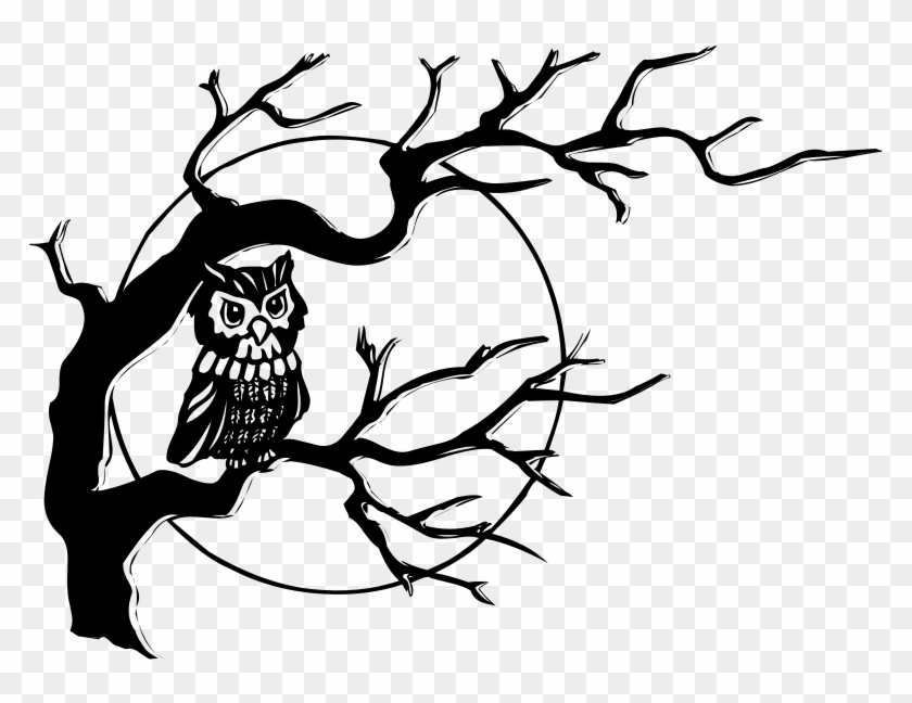 Black And White Owl - Tree With Owl Drawing #895563