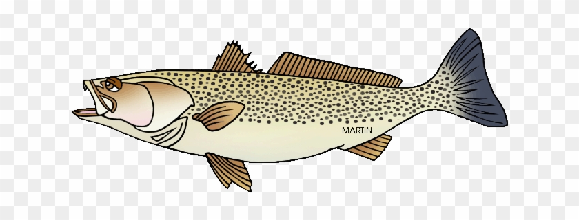 Weakfish - Delaware State Animal Fish #895567