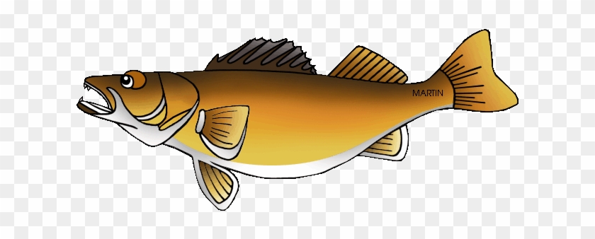 Free Walleye Cliparts, Download Free Clip Art, Free - Walleye Clipart #895611