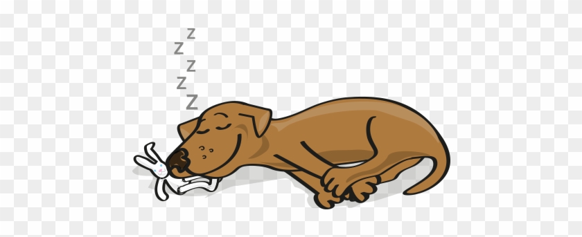 Easy To Give, With Or Without Food - Sleeping Pet Clipart Transparent #895648