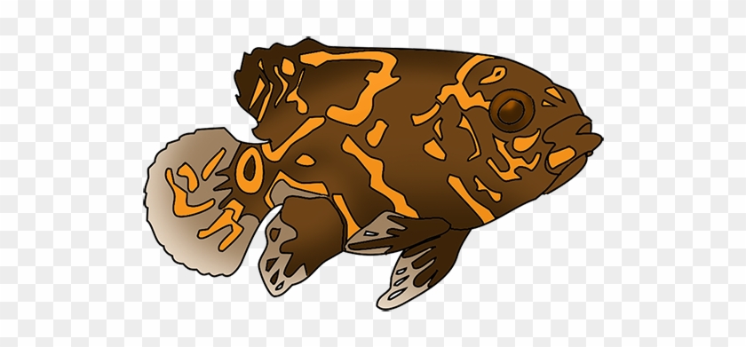 Very Spotted Fish Drawing - Clip Art #895660