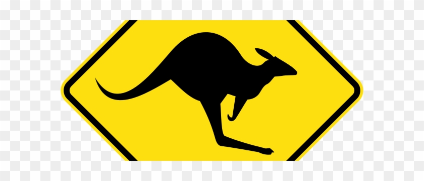 More Than 23,900 Kangaroo Carcasses Have Been Processed - Kangaroo Sign #895704
