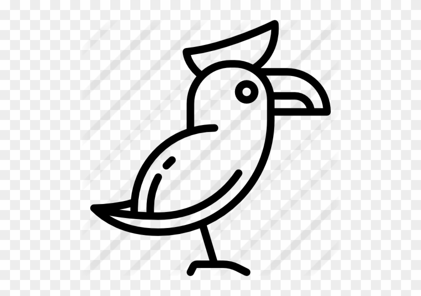 Parrot - Parrot #896303