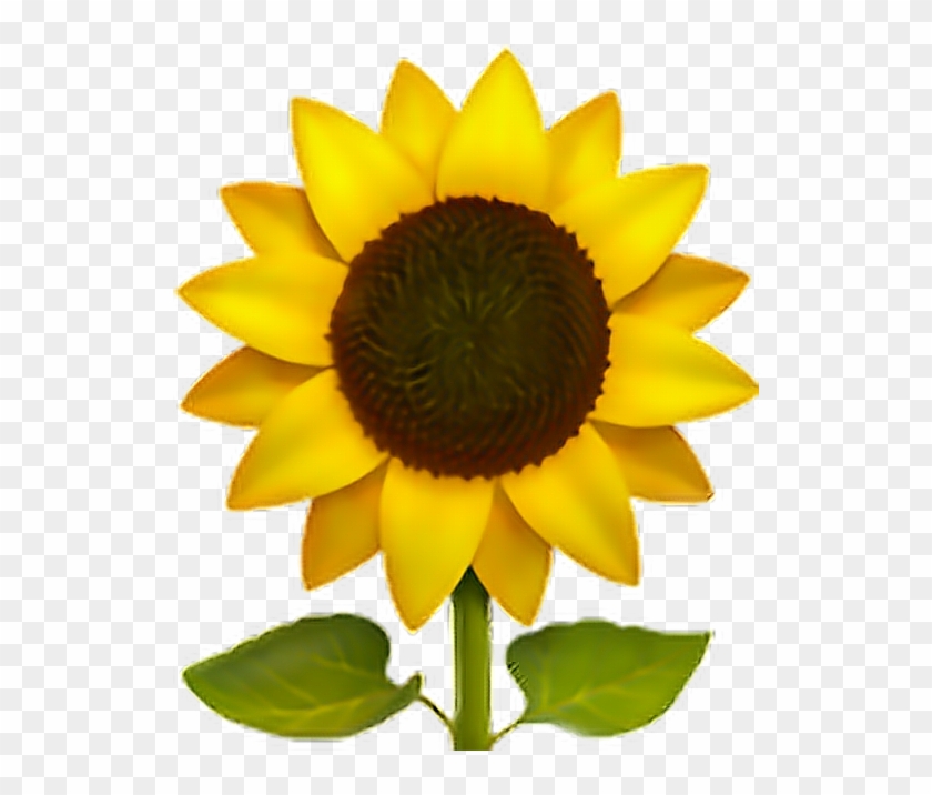 Sunflower Emoji Flower Sun Freeedit Iphone Cute - Sunflower Emoji Png #896315