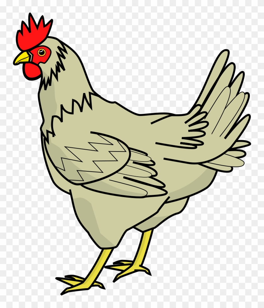 Chicken Clip Art - Chicken Clipart #896328