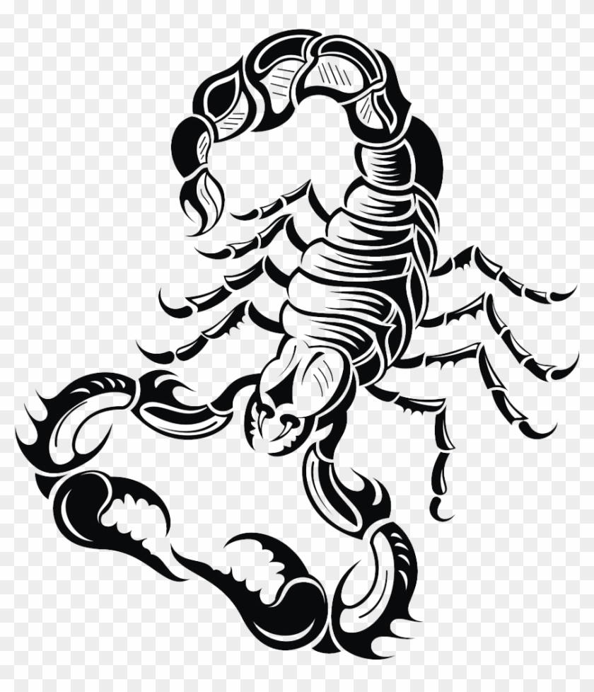 Scorpion Drawing Royalty Free Clip Art - Scorpion Drawing #896418