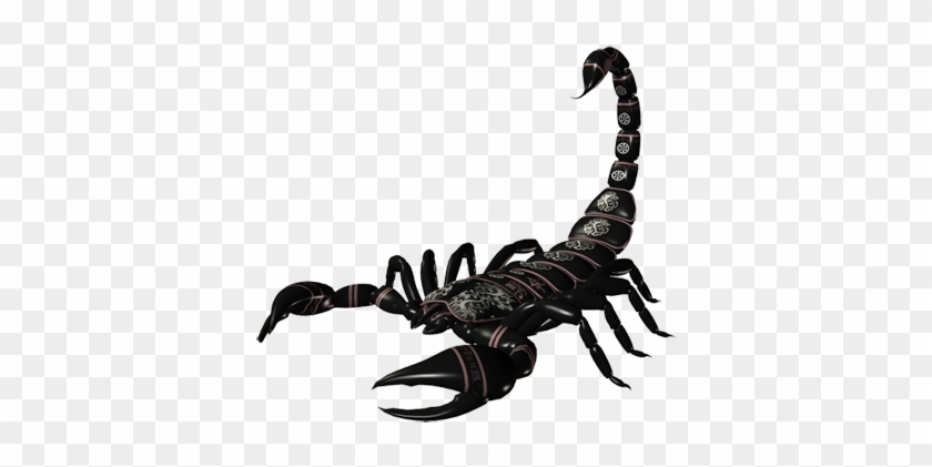 Scorpion Tattoos Png Transparent Images - Scorpion Transparent #896437