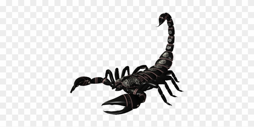 Tattoo Png Free Download  Scorpion Tattoos For Girls Transparent Png   Transparent Png Image  PNGitem