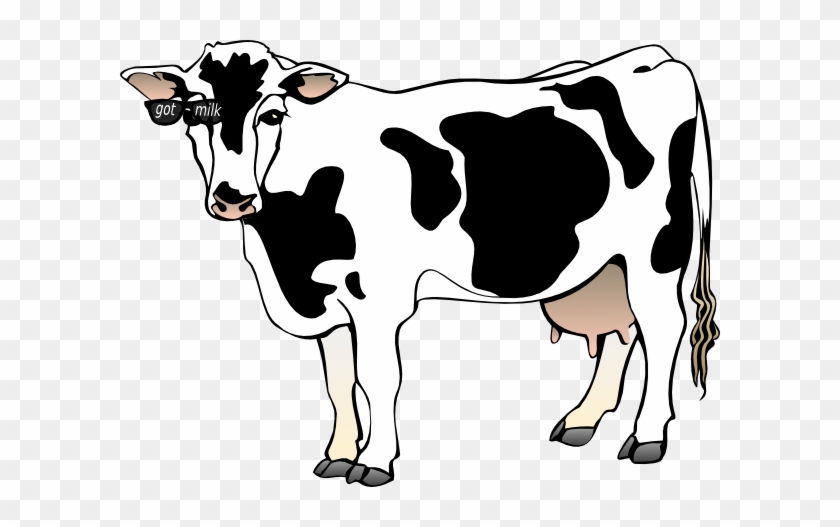 Milk Cow Png - Clipart Of A Cow #896597