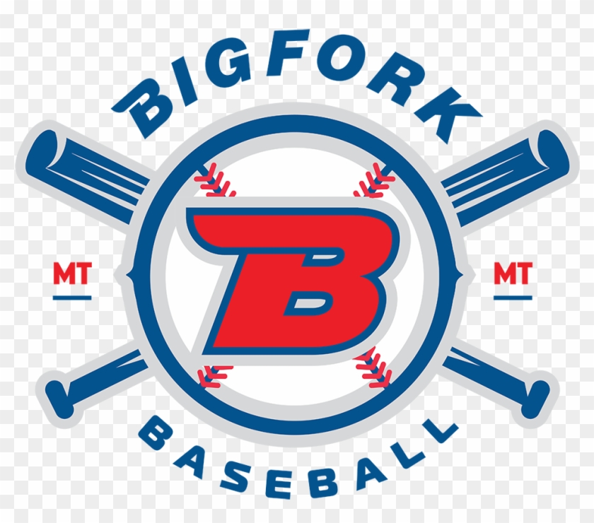 Bigfork Youth Baseball Association Endeavors To Instill - Silicon Valley #896652