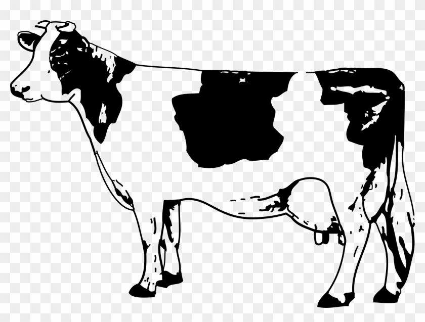 Texas Longhorn Jersey Cattle Drawing Clip Art - Cow Clipart Black And White #896656