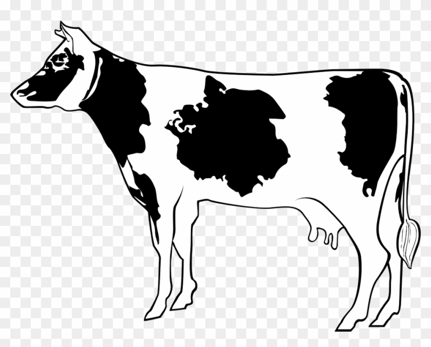 Cartoon Cow Side View #896664