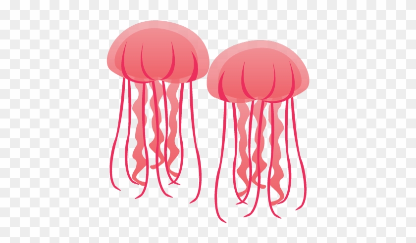 Image Result For Jellyfish Forever - The Washington Post #896719