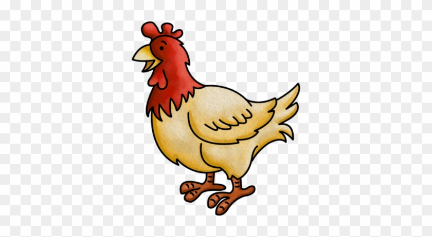 Chicken #896872