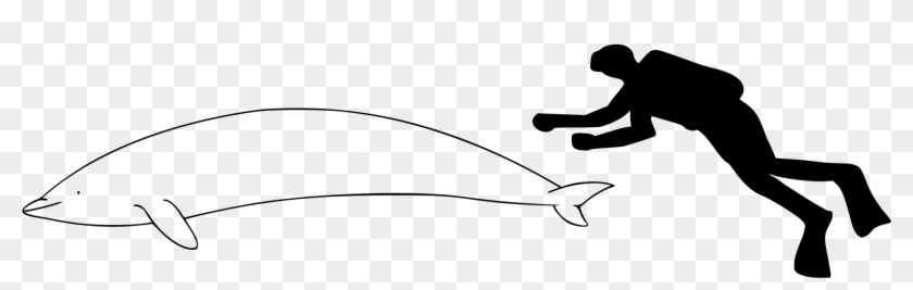 Cartoon Picture Of A Whale 22, Buy Clip Art - Whale Size #896933