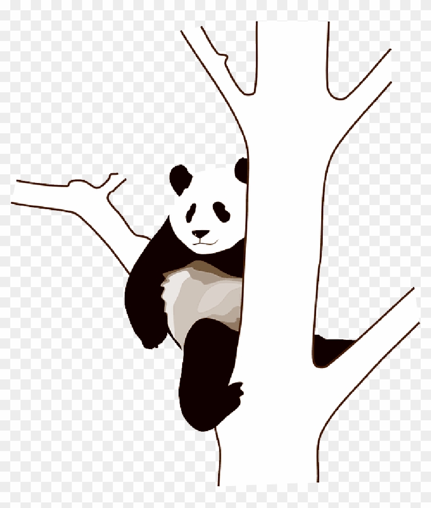 Baby, Tree, Cartoon, Wild, Bear, Cute, Bears, Panda - Panda Clip Art - Free  Transparent PNG Clipart Images Download