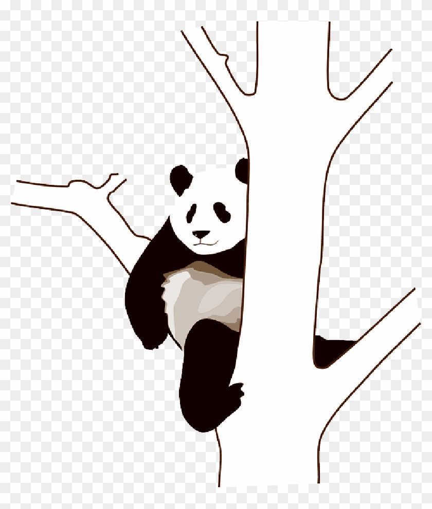 Baby, Tree, Cartoon, Wild, Bear, Cute, Bears, Panda - Panda Clip Art - Free Transparent PNG Clipart Images Download Baby, Tree, Cartoon, Wild, Bear, Cute, Bears, Panda - Panda Clip Art - Free Transparent PNG Clipart Images Download