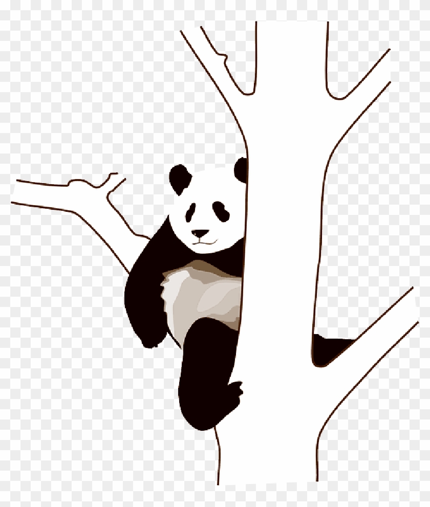 Baby, Tree, Cartoon, Wild, Bear, Cute, Bears, Panda - Panda Clip Art #896971