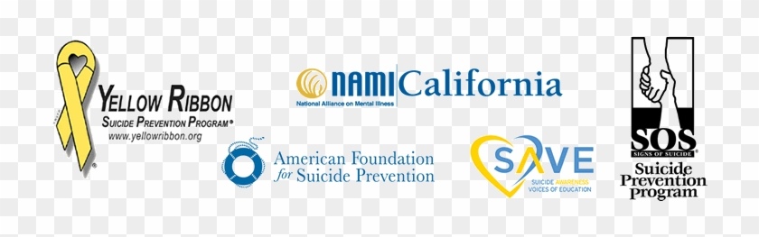 Directing Change Partner Organizations - American Foundation For Suicide Prevention #897212