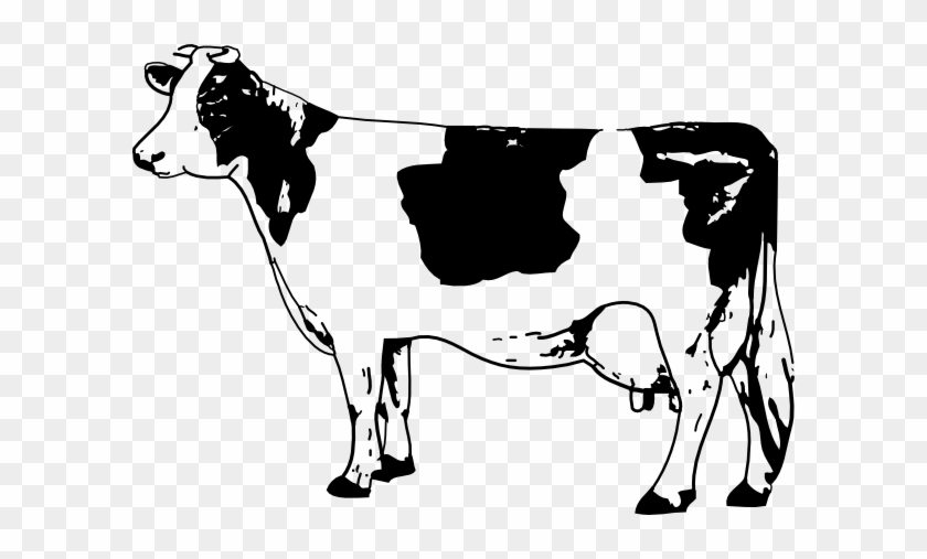 Free Line Drawings - Cow Clipart Black And White #897243