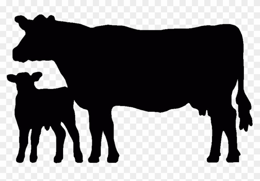 Show Heifer Clip Art - Cow And Calf Silhouette #897254