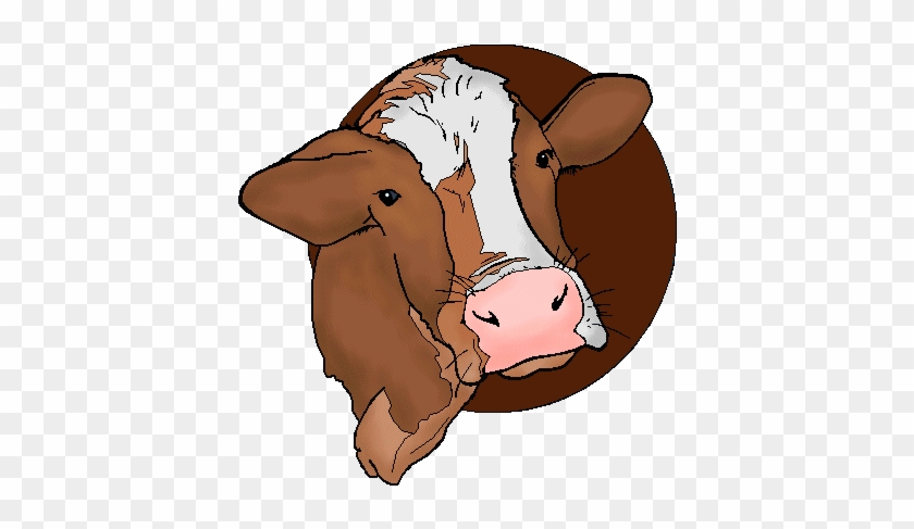 Beef Cow Head Clip Art - Dairy Cow #897394