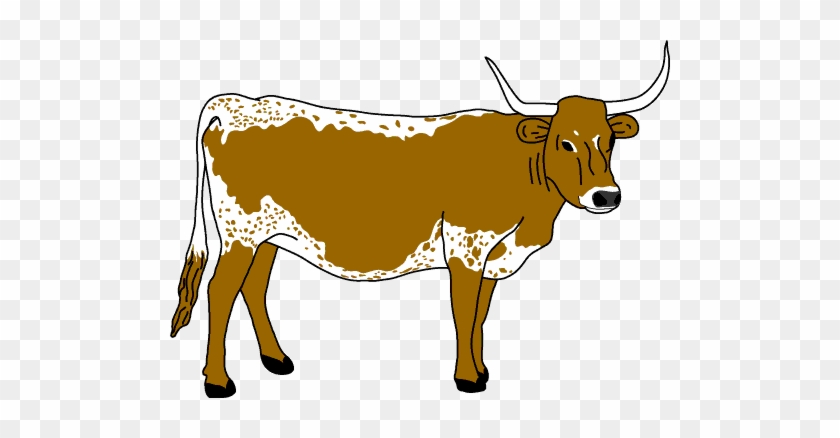Cow Clipart Cow Horn - Longhorn Clipart #897492