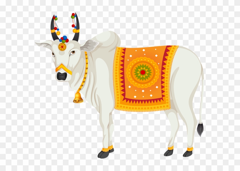 India Holy Cow Transparent Clip Art Image - Indian Cow Images Png #897578