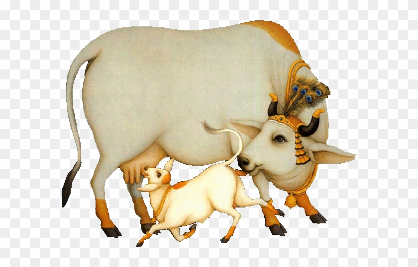 Pin Cow And Calf Clipart - Indian Cow & Calf #897719