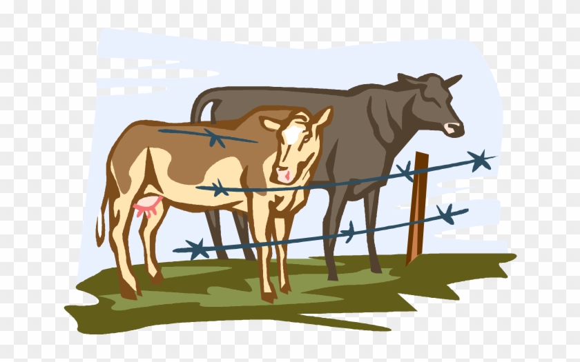 Cows Royalty Free Vector Clip Art Illustration - Proceso De La Leche #897802