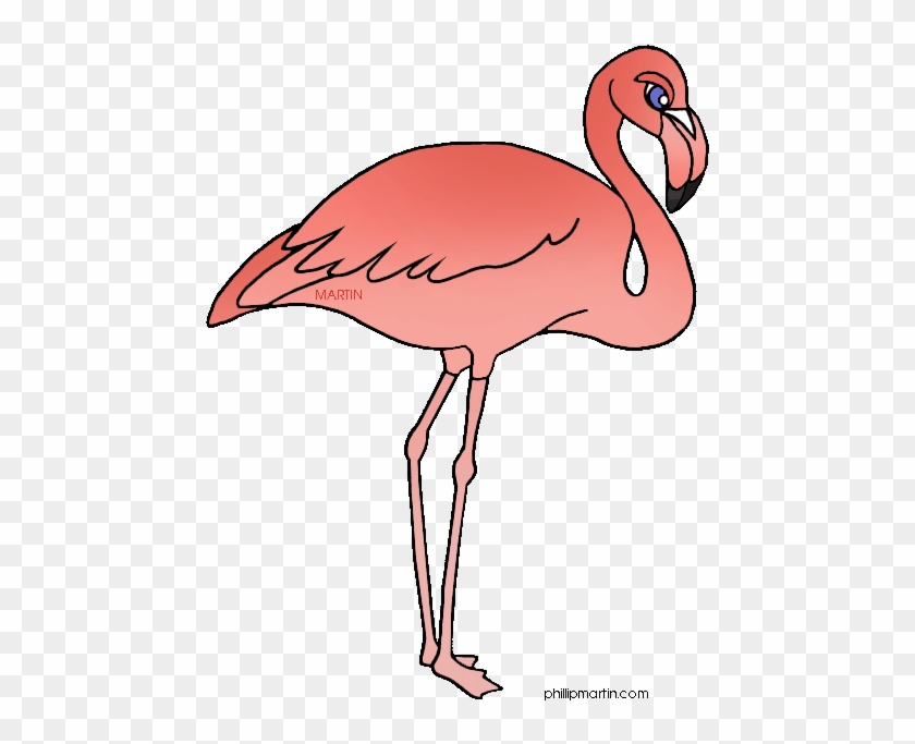 Pink Flamingo Mom With Flower Animal Parent And Its - Clip Art #897807