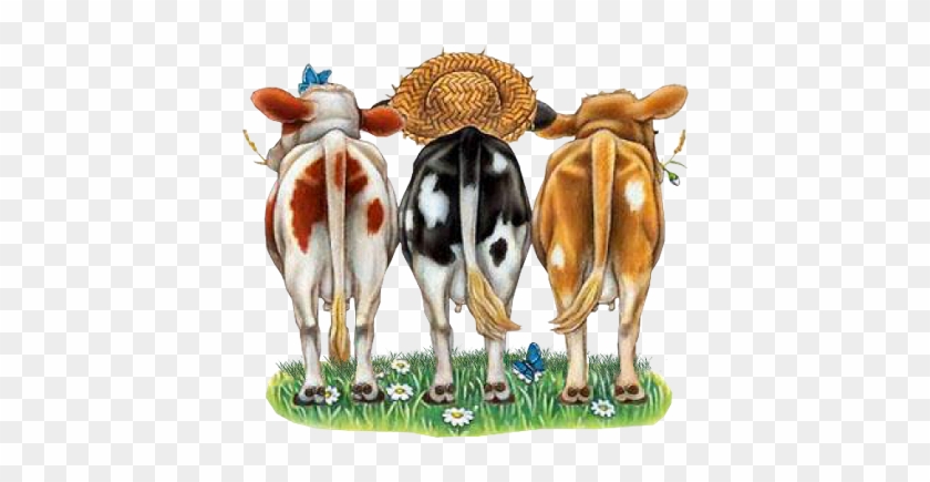 Cows' Butts - Vache Yeux Bandés Dessin #897838